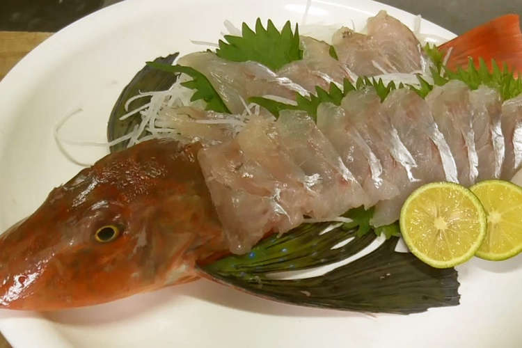 ホウボウの活け造り レシピ 作り方 By だるま丸 クックパッド 簡単おいしいみんなのレシピが378万品