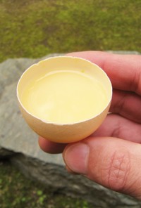 卵の殻で卵酒