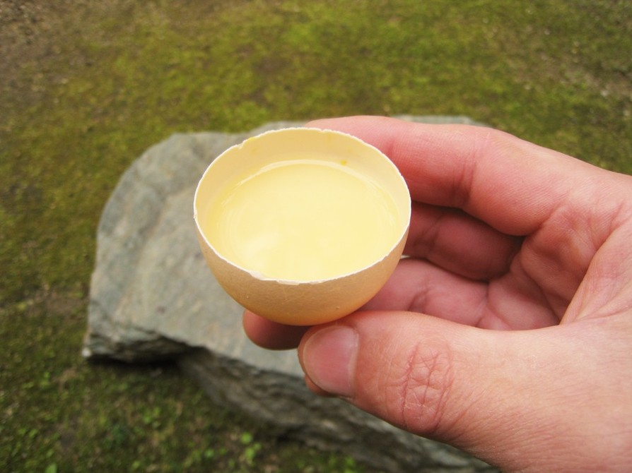 卵の殻で卵酒の画像