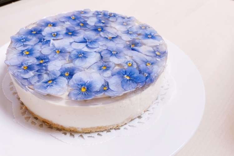 エディブルフラワーの低糖レアチーズケーキ レシピ 作り方 By 脂肪と糖は正義 クックパッド 簡単おいしいみんなのレシピが370万品
