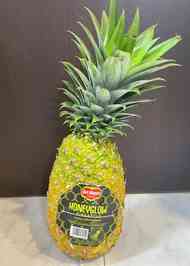 みんなが作ってる パイナップル 切り方のレシピ クックパッド 簡単おいしいみんなのレシピが367万品