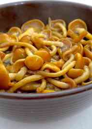 みんなが作ってる なめこ おつまみのレシピ クックパッド 簡単おいしいみんなのレシピが366万品