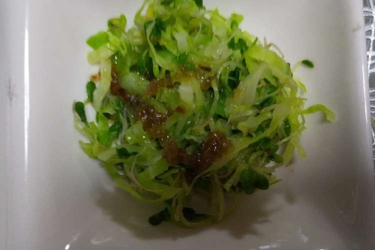 残ったキャベツ千切りとスプラウトの消費 レシピ 作り方 By はちみつlove クックパッド 簡単おいしいみんなのレシピが371万品