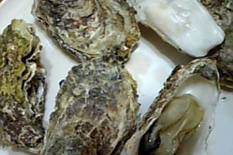 殻付き牡蠣を簡単ジューシーに レシピ 作り方 By キュックのカカ クックパッド 簡単おいしいみんなのレシピが367万品