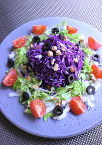 紫キャベツと白菜のサラダ