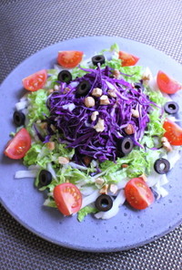 紫キャベツと白菜のサラダ
