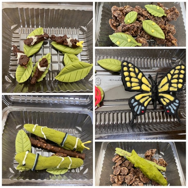 幼虫チョコ アゲハ蝶の一生 レシピ 作り方 By Yuki Ch1 クックパッド 簡単おいしいみんなのレシピが377万品