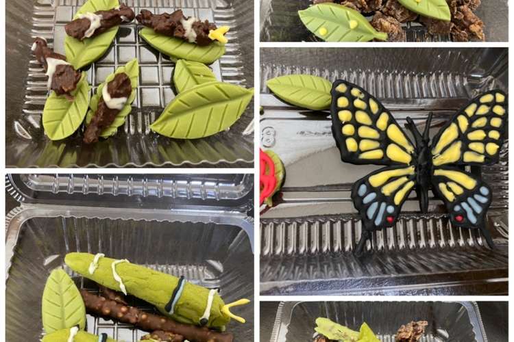 幼虫チョコ アゲハ蝶の一生 レシピ 作り方 By Yuki Ch1 クックパッド 簡単おいしいみんなのレシピが374万品