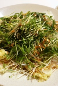 白菜と水菜の和風サラダ