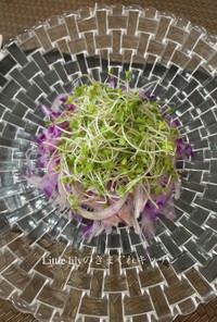 紫大根とアーリーレッドのサラダ