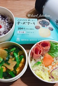 猫の日弁当ニラ玉サラダ日の丸ご飯覚書