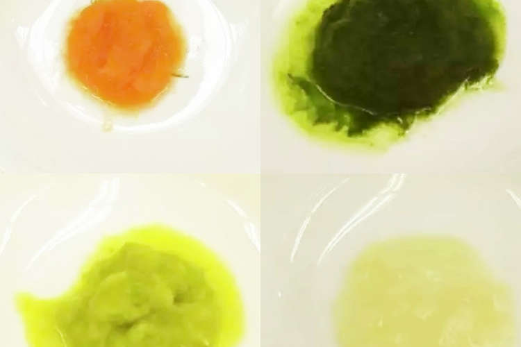 離乳食初期 野菜のペースト レシピ 作り方 By 相模原市 神奈川県 クックパッド 簡単おいしいみんなのレシピが376万品