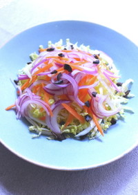 白菜と紫玉ねぎのサラダ