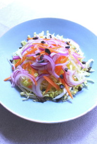 白菜と紫玉ねぎのサラダ