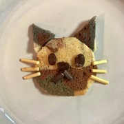 三毛猫シフォンケーキで三毛猫ちゃんの写真
