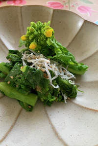 レンジで作れる旬の菜花と麹味噌の副菜