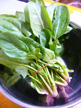 便利♪ほうれん草の茹で方のコツ