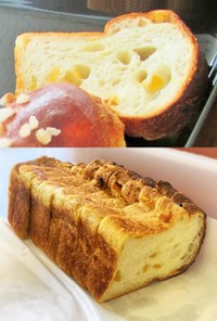 柚子食パン