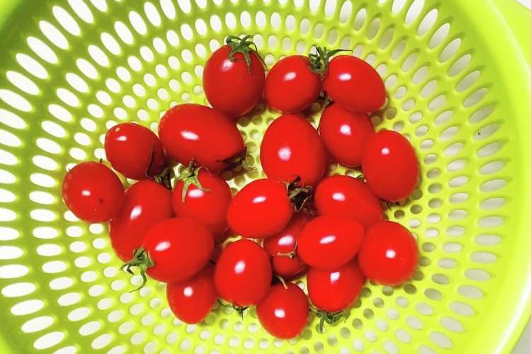 2週間以上持った トマトの保存方法 レシピ 作り方 By 龍愛recipe クックパッド 簡単おいしいみんなのレシピが375万品