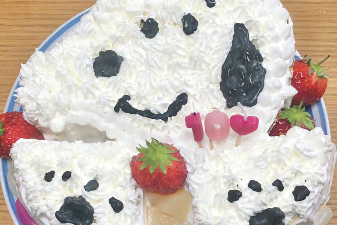 簡単 スヌーピー 子供の誕生日ケーキ レシピ 作り方 By みゆちゃんのパパ クックパッド 簡単おいしいみんなのレシピが379万品