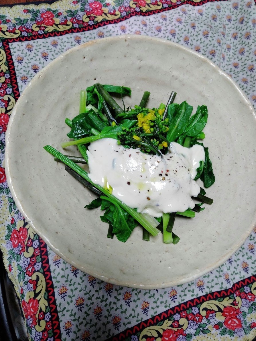 菜の花・紅菜苔の豆腐酒粕クリームがけの画像