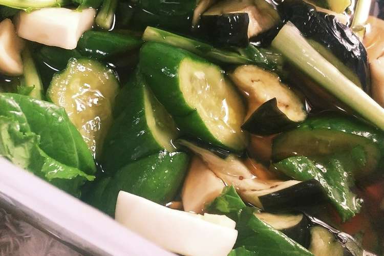 茄子キュウリ大葉とかぶのにんにく生姜漬物 レシピ 作り方 By りょうのひらさん クックパッド 簡単おいしいみんなのレシピが372万品