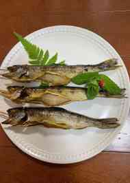 みんなの あまご レシピが42品 クックパッド