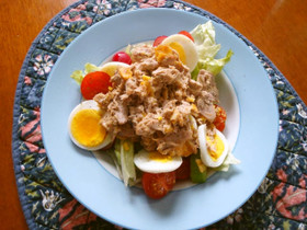 ポテトチップス入ツナサラダ