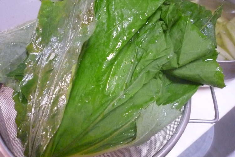 もったいない ふきの葉っぱ レシピ 作り方 By しろいしっぽ クックパッド 簡単おいしいみんなのレシピが361万品