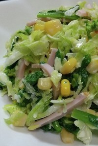 菜の花のコールスローサラダ