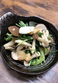 簡単10分　水菜キノコシーフード