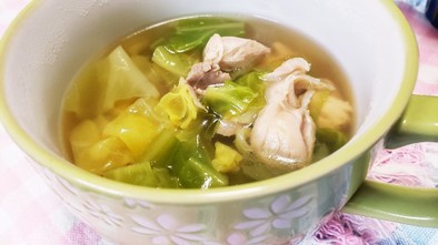 鶏肉とキャベツのスープの写真