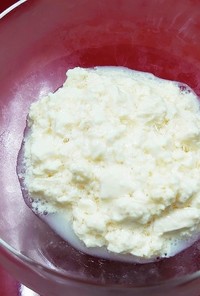 素粒水 豆乳ヨーグルト