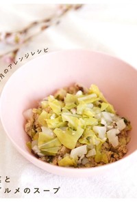 犬ご飯/春野菜とココグルメのスープ