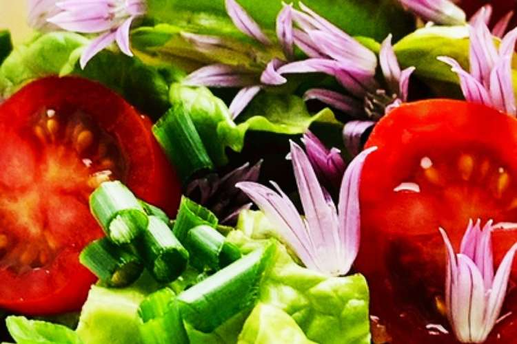 チャイブサラダ レシピ 作り方 By Ka Na Pe クックパッド 簡単おいしいみんなのレシピが374万品