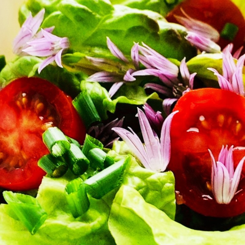 みんなが作ってる チャイブの花のレシピ クックパッド 簡単おいしいみんなのレシピが371万品