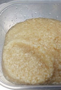 素粒水 簡単米麹 