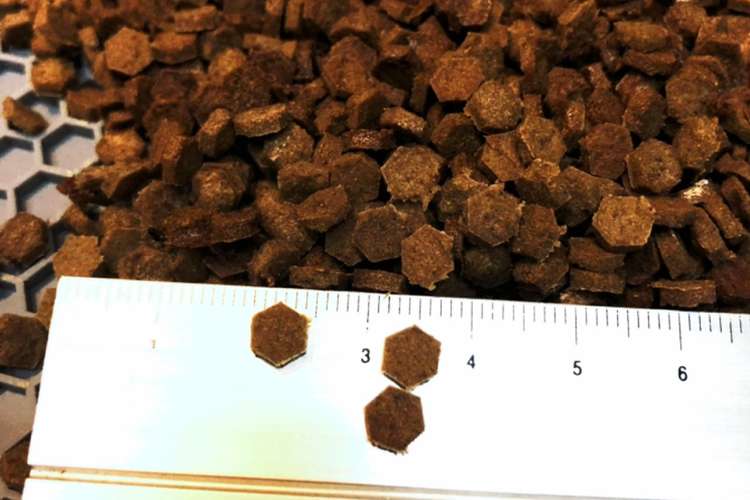 犬用おやつ トレーニング用トリーツ レシピ 作り方 By Erilyn クックパッド 簡単おいしいみんなのレシピが376万品