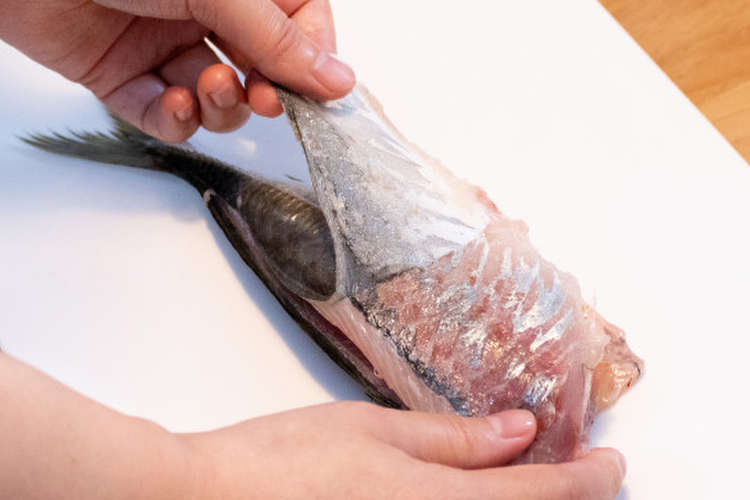 魚のさばき方 アジでコツを掴む レシピ 作り方 By ツリバカメラ クックパッド 簡単おいしいみんなのレシピが368万品