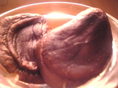 椎茸の煮物の写真