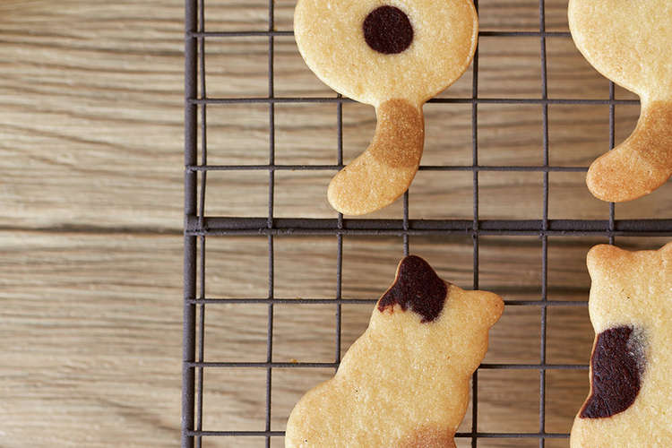 三毛猫ちゃんクッキー レシピ 作り方 By Pook Dailydelicious クックパッド 簡単おいしいみんなのレシピが374万品