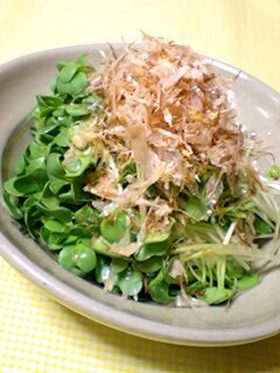 シンプル イズ ベスト!かいわれ大根♡