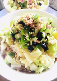 梅胡麻野菜素麺