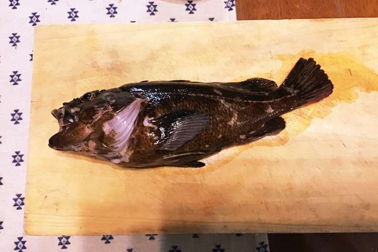 カサゴ ソイの捌き方 煮付け下処理 レシピ 作り方 By セイゴフッコスズキ クックパッド 簡単おいしいみんなのレシピが373万品