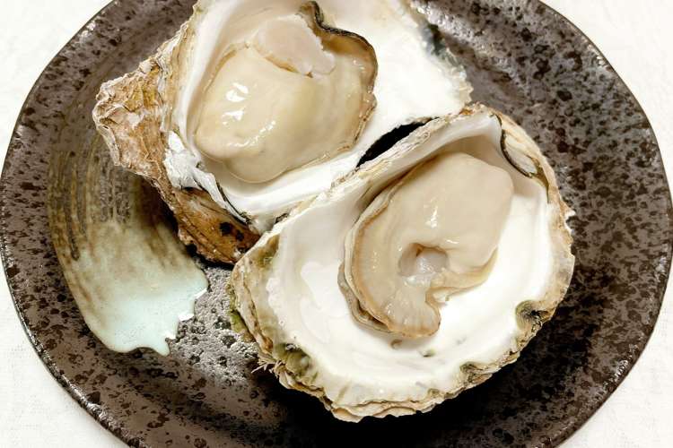 岩牡蠣のサッと湯通し 殻の開け方付き レシピ 作り方 By 及川真愛弥 クックパッド 簡単おいしいみんなのレシピが375万品