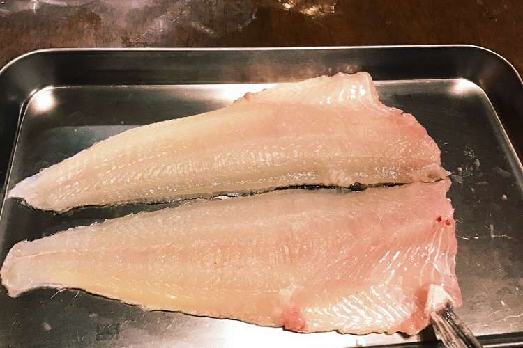 アイナメの捌き方 簡単 レシピ 作り方 By セイゴフッコスズキ クックパッド 簡単おいしいみんなのレシピが375万品