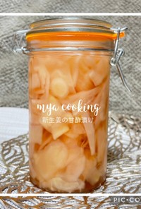 大人の味！生姜の甘酢漬け（ガリ）