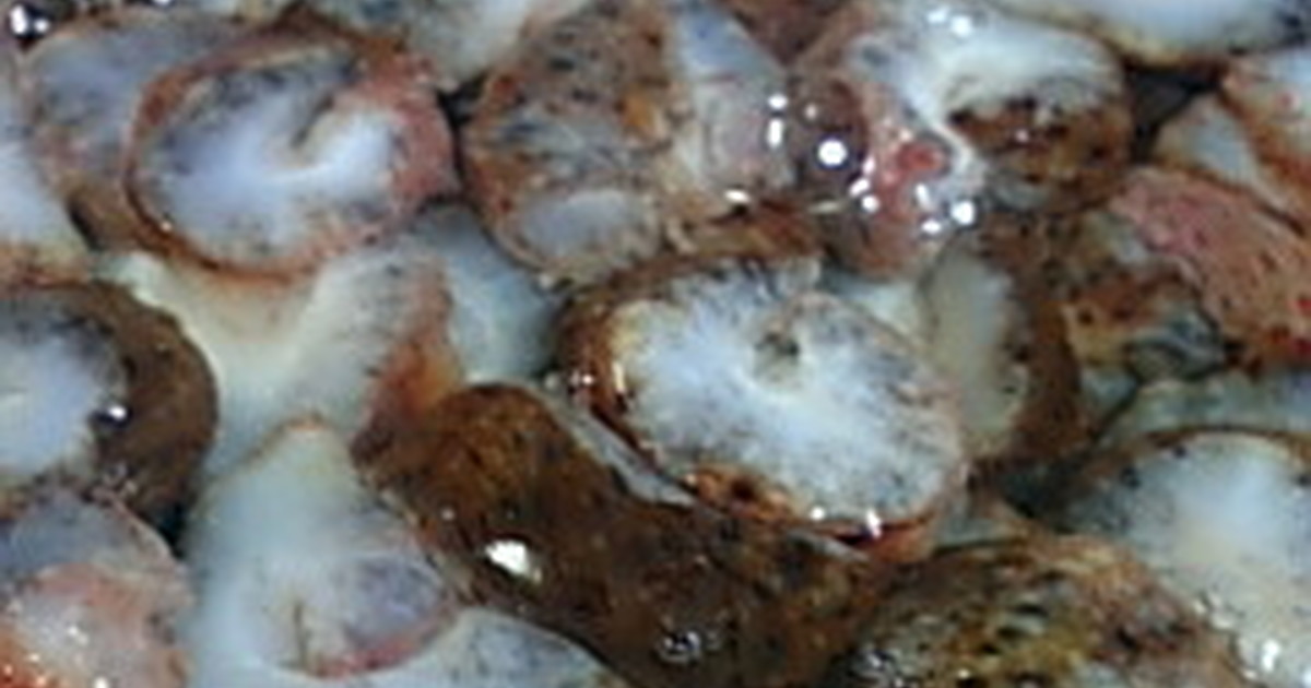 赤なまこのさばき方 レシピ 作り方 By ｓｃｒｉｔ クックパッド 簡単おいしいみんなのレシピが365万品