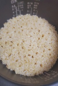 玄米の炊き方(覚え書き)