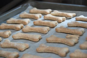 犬用★りんごヨーグルトクッキー